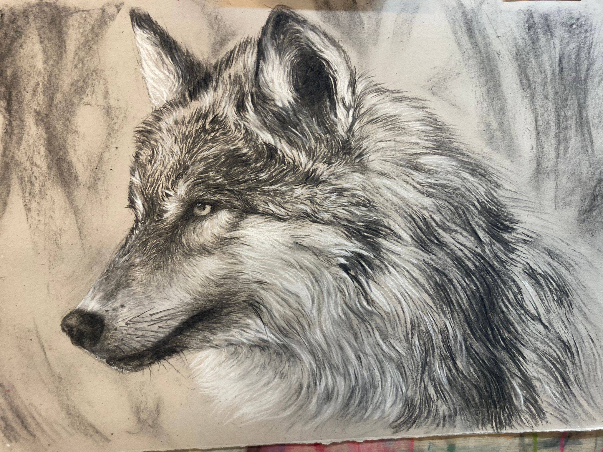 Art Grade 1 and 2