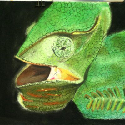 ilustracion-infantil-3