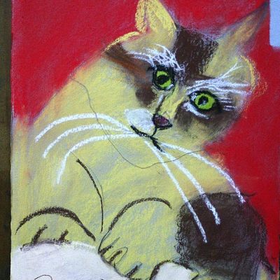ilustracion-infantil-32
